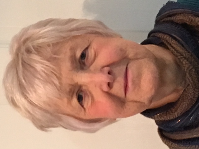 Mrs. sarah williams. The Healthy Life Company Devizes