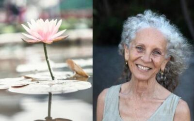 Effective Clinical Practice Including Sattvavajaya Chikitsa