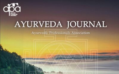 APA Journal Summer 2026
